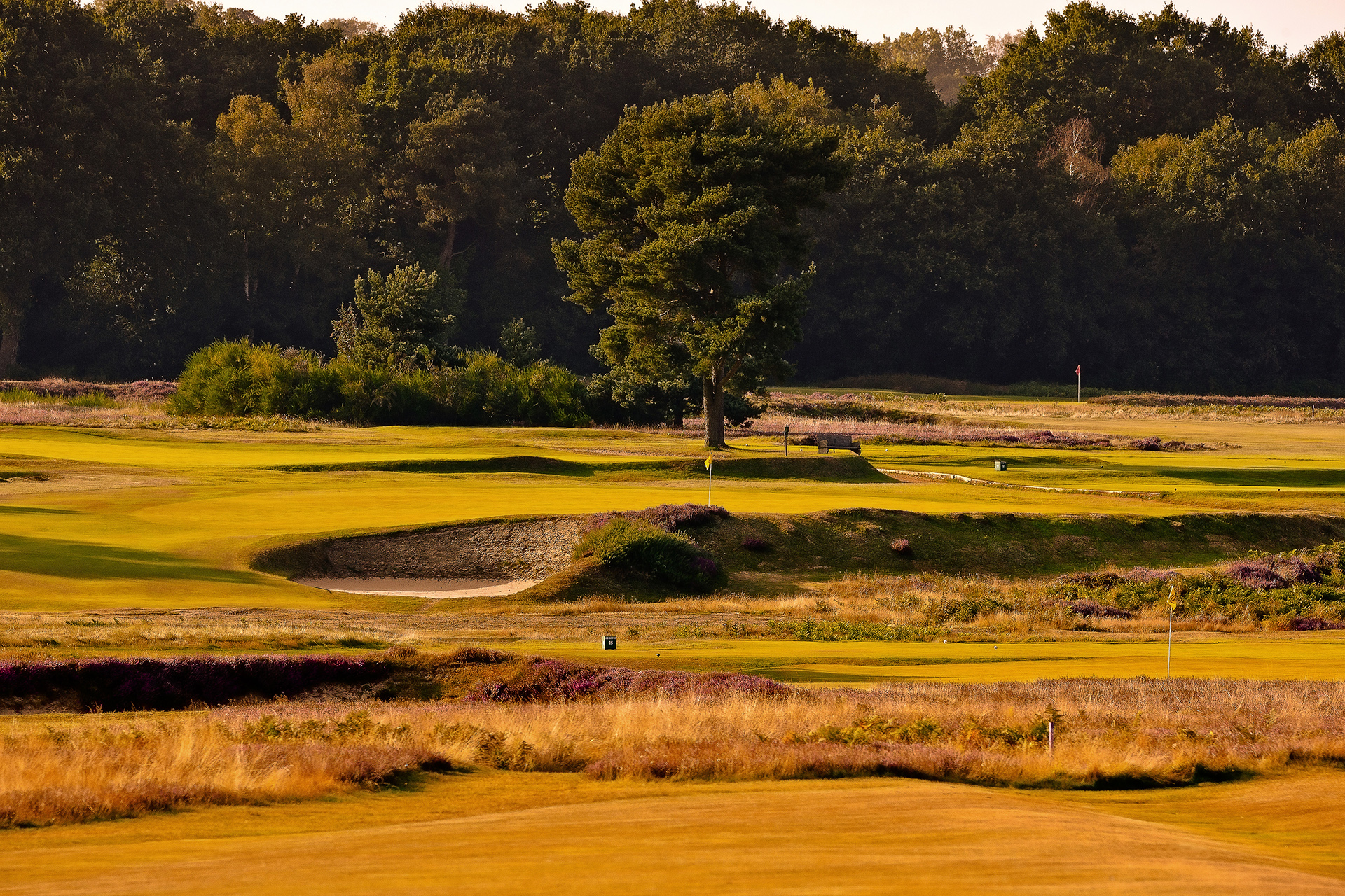 Almindeligt For tidlig skrot Old Course :: Walton Heath Golf Club