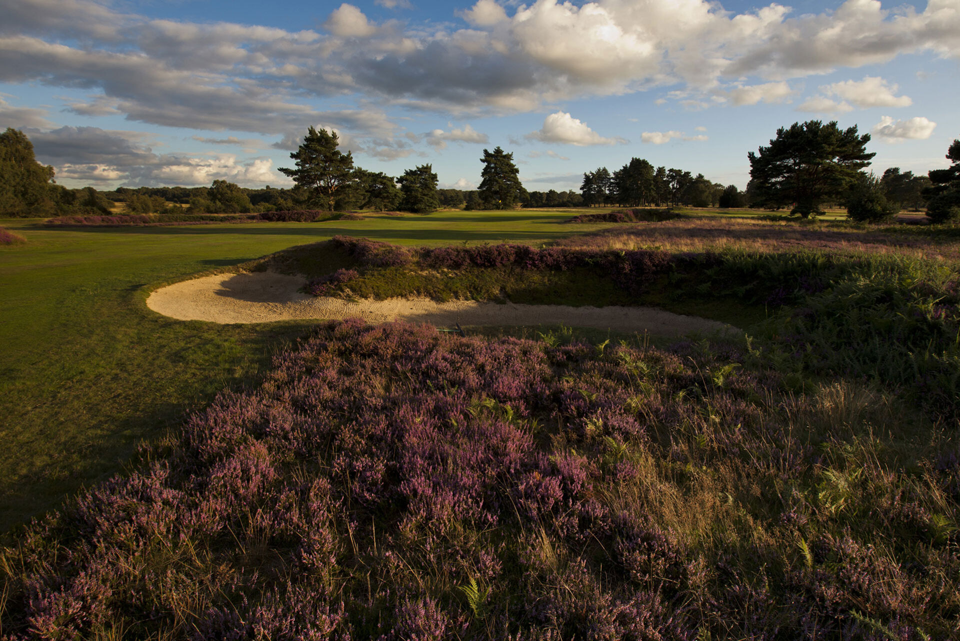 Almindeligt For tidlig skrot Old Course :: Walton Heath Golf Club